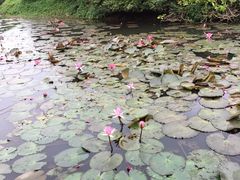 -白沙门生态公园