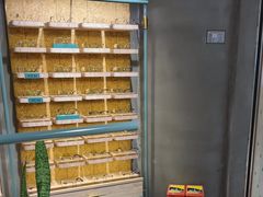 -MUJOSH木九十眼镜(长沙IFS国金中心店)