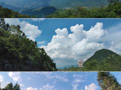 -武陵山森林公园