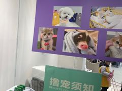 -怪兽屋·羊驼·猫咖·狗咖(俊华广场店)