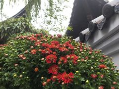 -中国翰园碑林