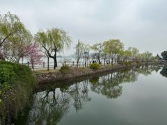 -无锡蠡湖国家湿地公园-蠡园