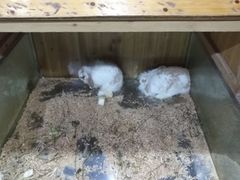 -上海昆虫博物馆