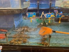 水产区-天鲜阁·海鲜粤菜·33年老字号(石槎白云站店)