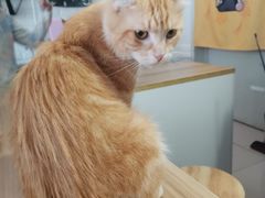 -平行世界·猫咖(首经贸店)