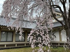 -醍醐寺