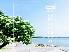 -天津金海湖