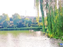-升仙湖公园