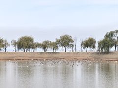 -鄱阳湖国家湿地公园