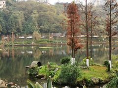 -重庆彩云湖湿地公园