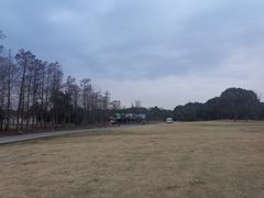 -上海滨江森林公园