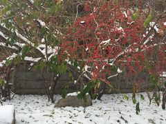 -北京宽沟会议中心