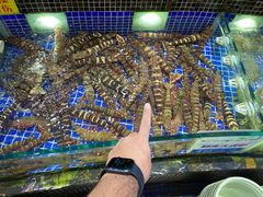 野生角虾-欢乐海岸美食联盟