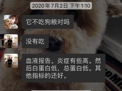-奈斯宠物医院·核磁CT·异宠专科·内镜(中南店)