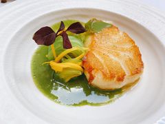 -蝶舍·MAISON PAPILLON