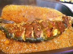 -川渝窈妹纸包鱼·齐齐哈尔烤肉