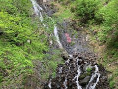 -凤凰山国家森林公园