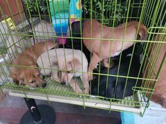 -COSTA COFFEE(上海虹口公园店)