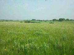 -御道口草原森林风景区-游客咨询处