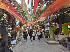 -重庆十八梯传统风貌区