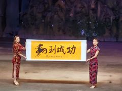 -灵玲国际马戏城