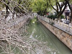 -安亭老街