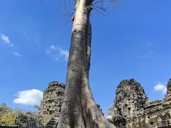 -吴哥国家博物馆