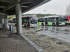 -上海大学生体育中心游泳馆(松江店)