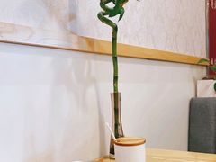 -仙踪林(杭州萧山国际机场店)