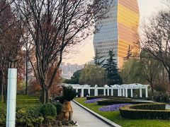 -新虹桥中心花园