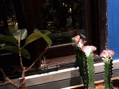 -也枫·小黄楼(南山路旗舰店)
