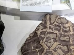 -中国第四纪冰川遗迹陈列馆