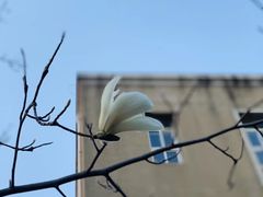 -大连理工大学(凌水校区)