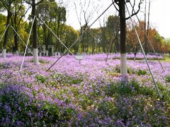 -白塘生态植物园