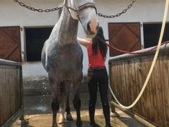 -松声马术俱乐部