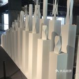 【魔都艺展地图】高山仰止，女王扎哈
