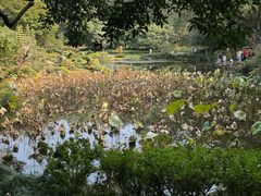 -杭州植物园
