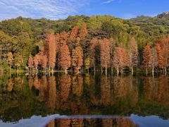 -广州市白云山风景名胜区