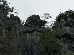 -千岛湖石林