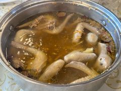 药膳乳鸽汤-百利鸽王(紫薇路店)