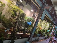 -朝来春花卉市场