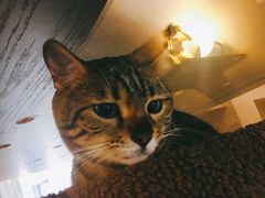 -Me Coffee下午茶艺术空间