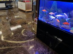 -宜昌富力皇冠假日酒店·咖啡1号西餐厅