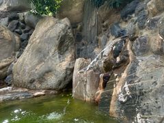 -湖泉半山温泉(湖泉生态园)