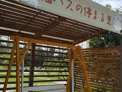 -前小桔亲子创意农场·草莓采摘·露营烧烤