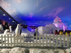 -世界之窗阿尔卑斯冰雪世界