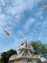 -玄武湖景区-情侣园游乐场