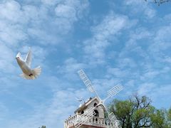 -玄武湖景区-情侣园游乐场