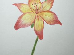 -谷隆画舍·国画书法素描彩铅水彩