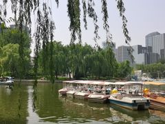 -团结湖公园